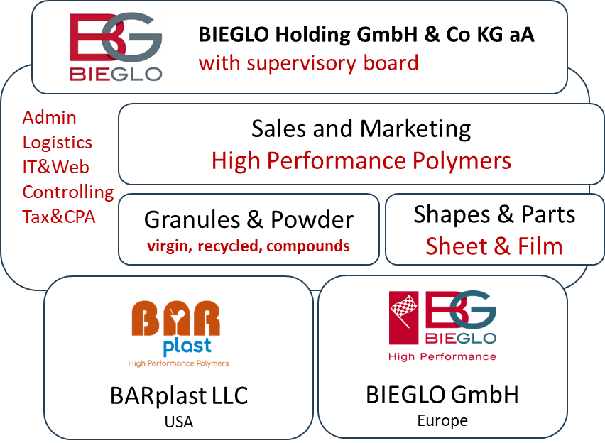 BIEGLO Organisation Company Structure 2025